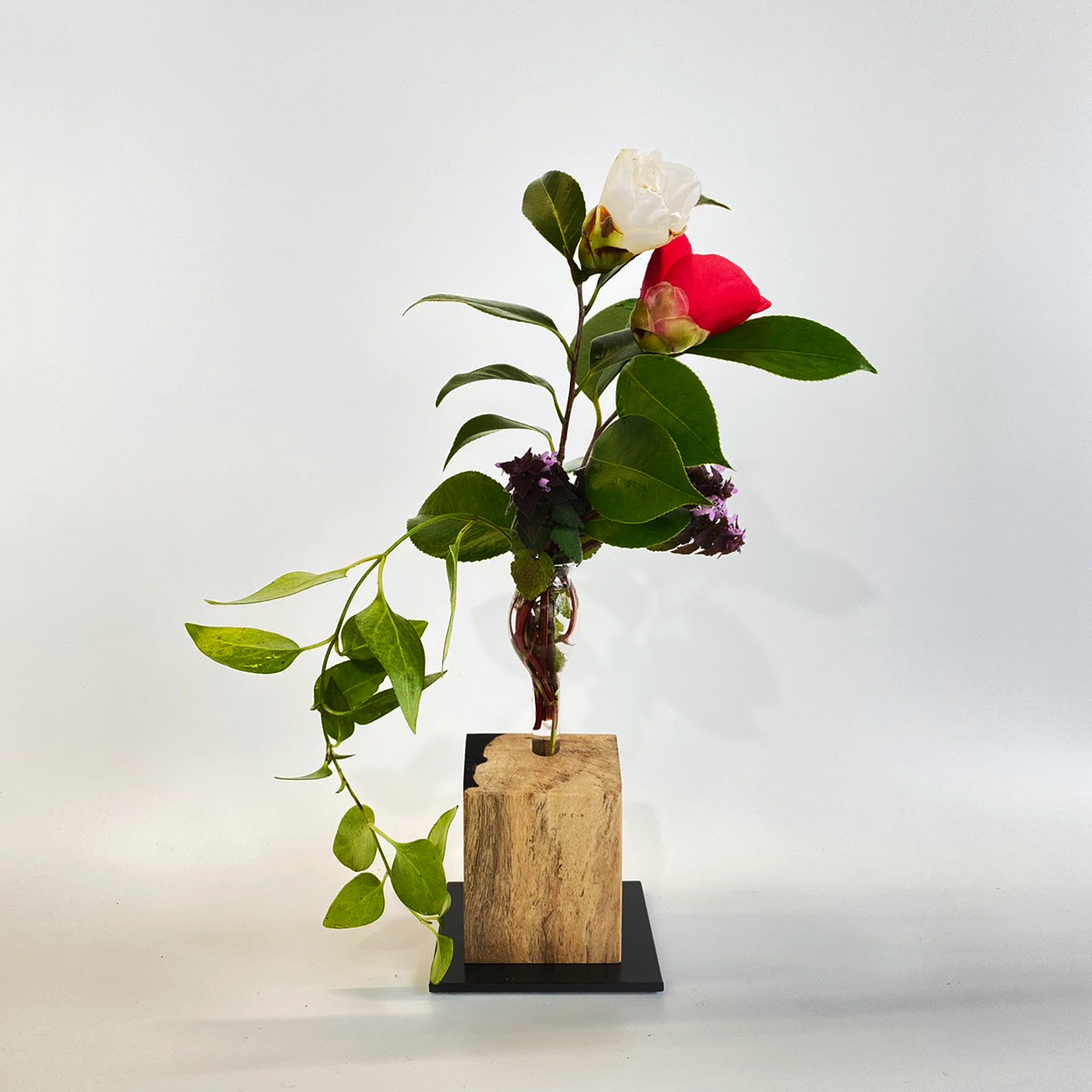黒柿の花びいどろ"01"|お花を生けた姿