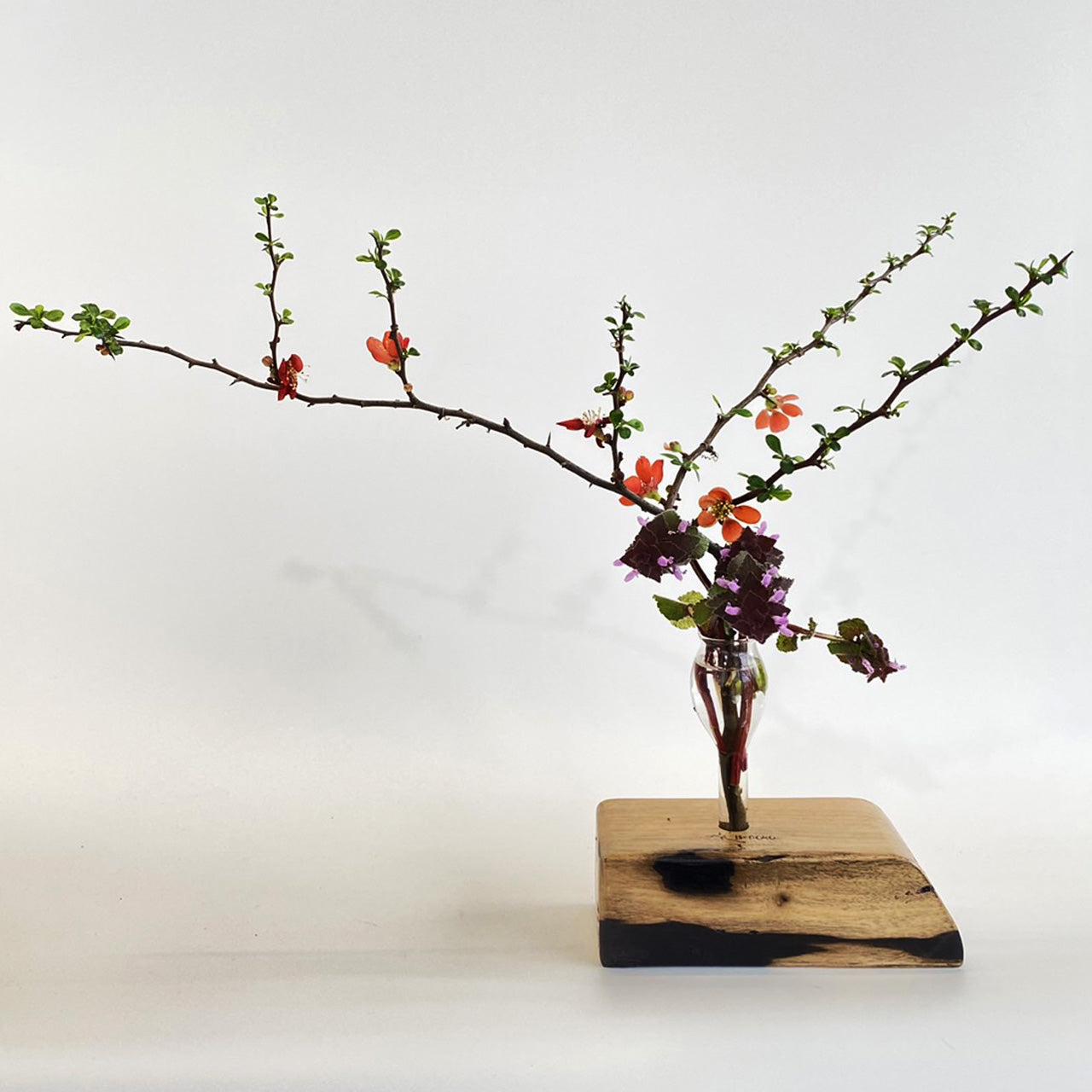 黒柿の花びいどろ"03"|お花を生けた姿