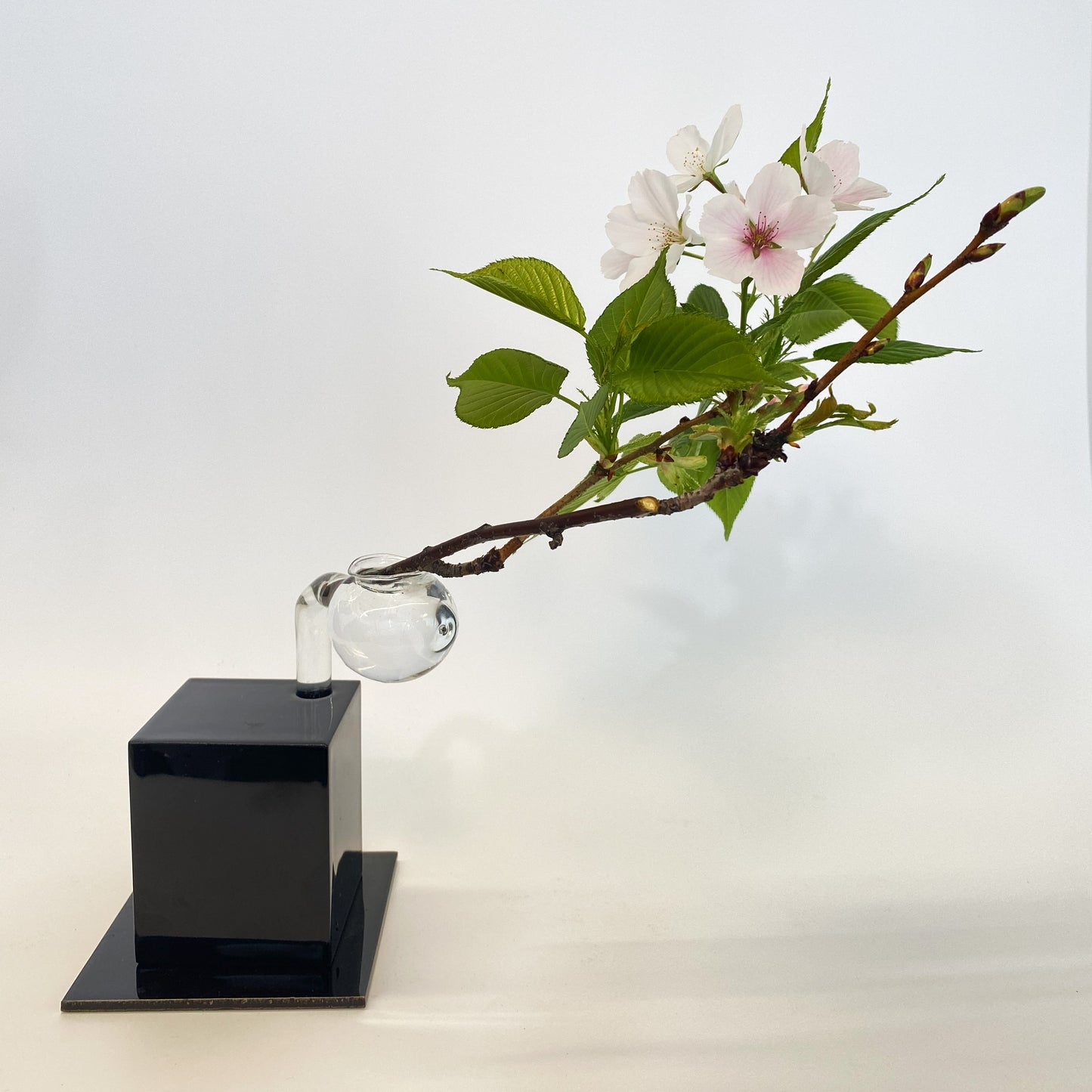 黒色漆伝の花びいどろ"01"|お花を生けた姿