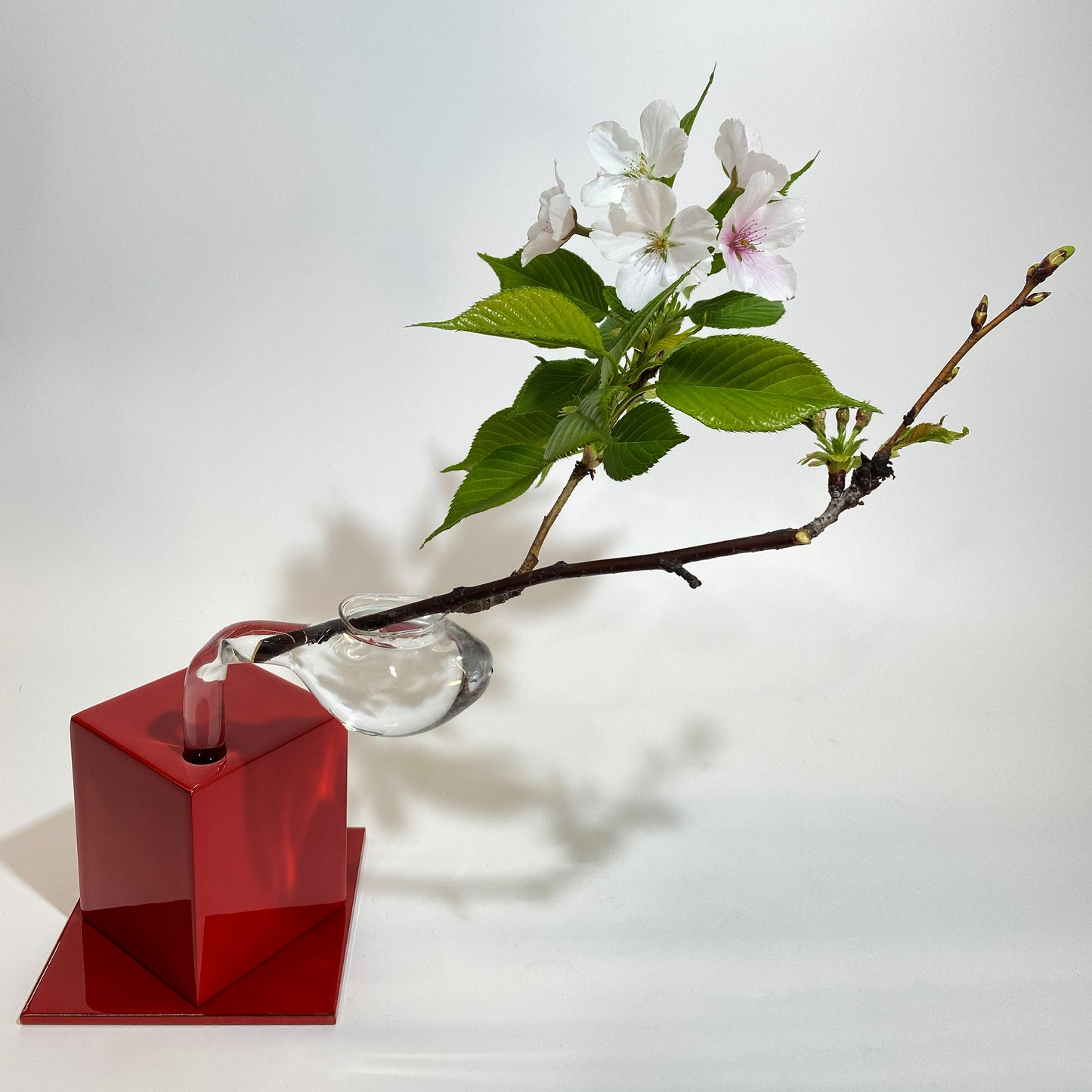 赤色漆伝の花びいどろ"01"|お花を生けた姿